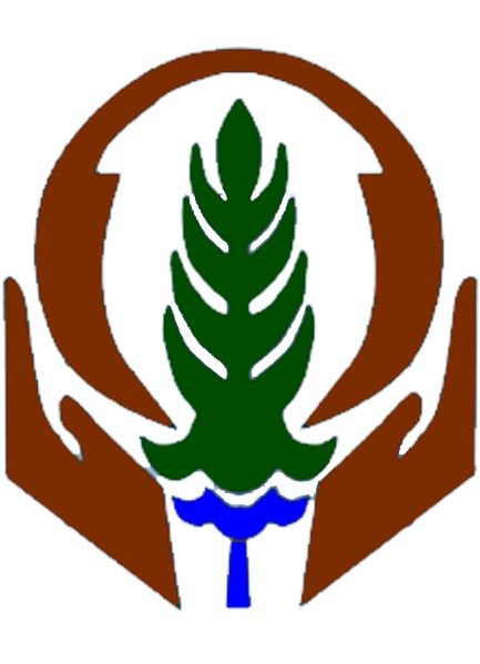 AAIB Logo